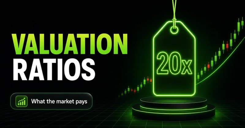 Neon price tag reading 20x beside a VALUATION RATIOS headline, illustrating what the market pays