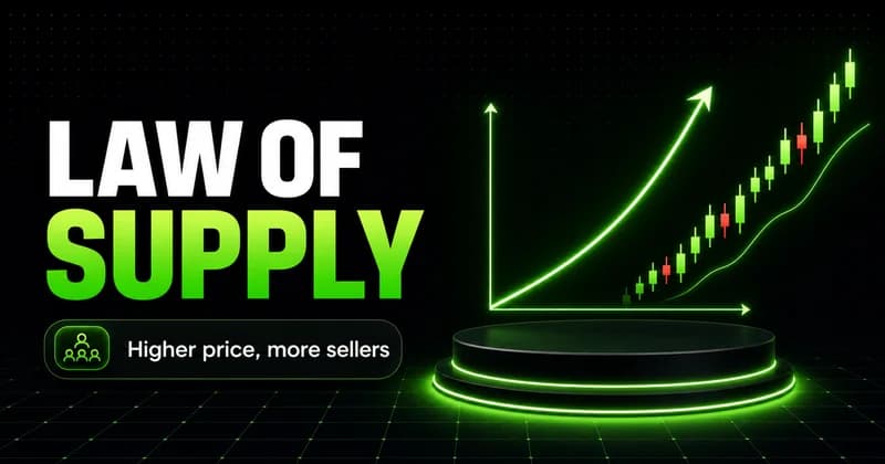 The Law of Supply — What It Means for Markets